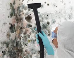 Best Air Quality Testing for Mold Spores  in Surfside Beach, SC